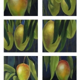 Key West Mangoes Combo