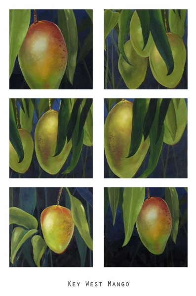 Key West Mangoes Combo